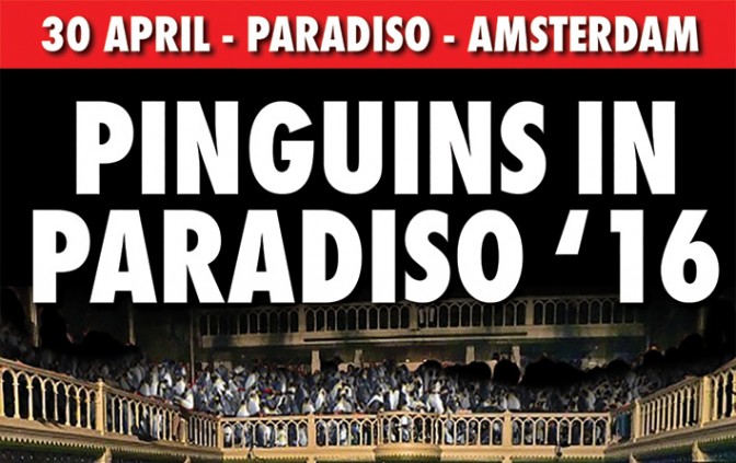 Pinguins in Paradiso