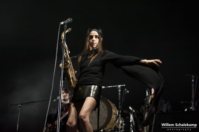 PJ Harvey