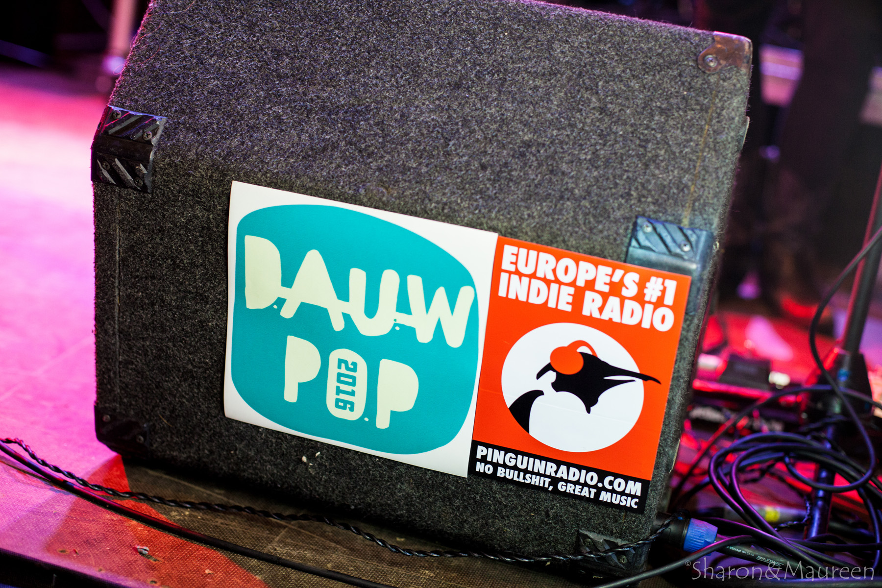 Live Foto Review Dauwpop 2016 @ Hellendoorn