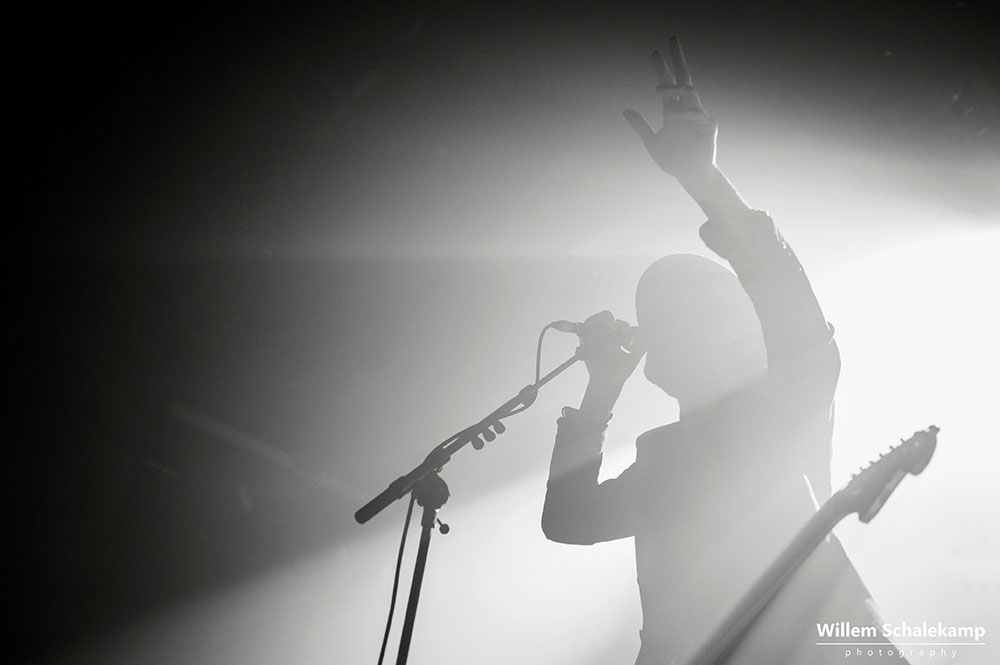 The Veils naar Paaspop, Paard van Troje en de Muziekgieterij