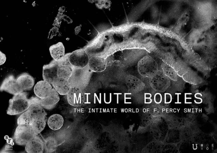 Tindersticks opent Motel Mozaïque Festival 2017 met cine-concert