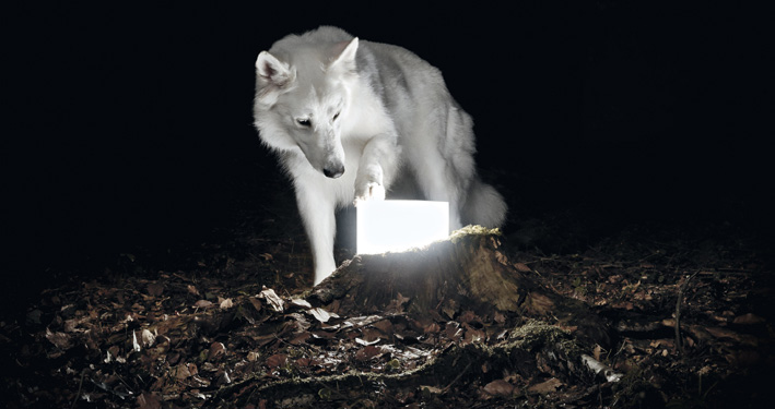 Win debuutalbum Surveillance van Vanishing Life