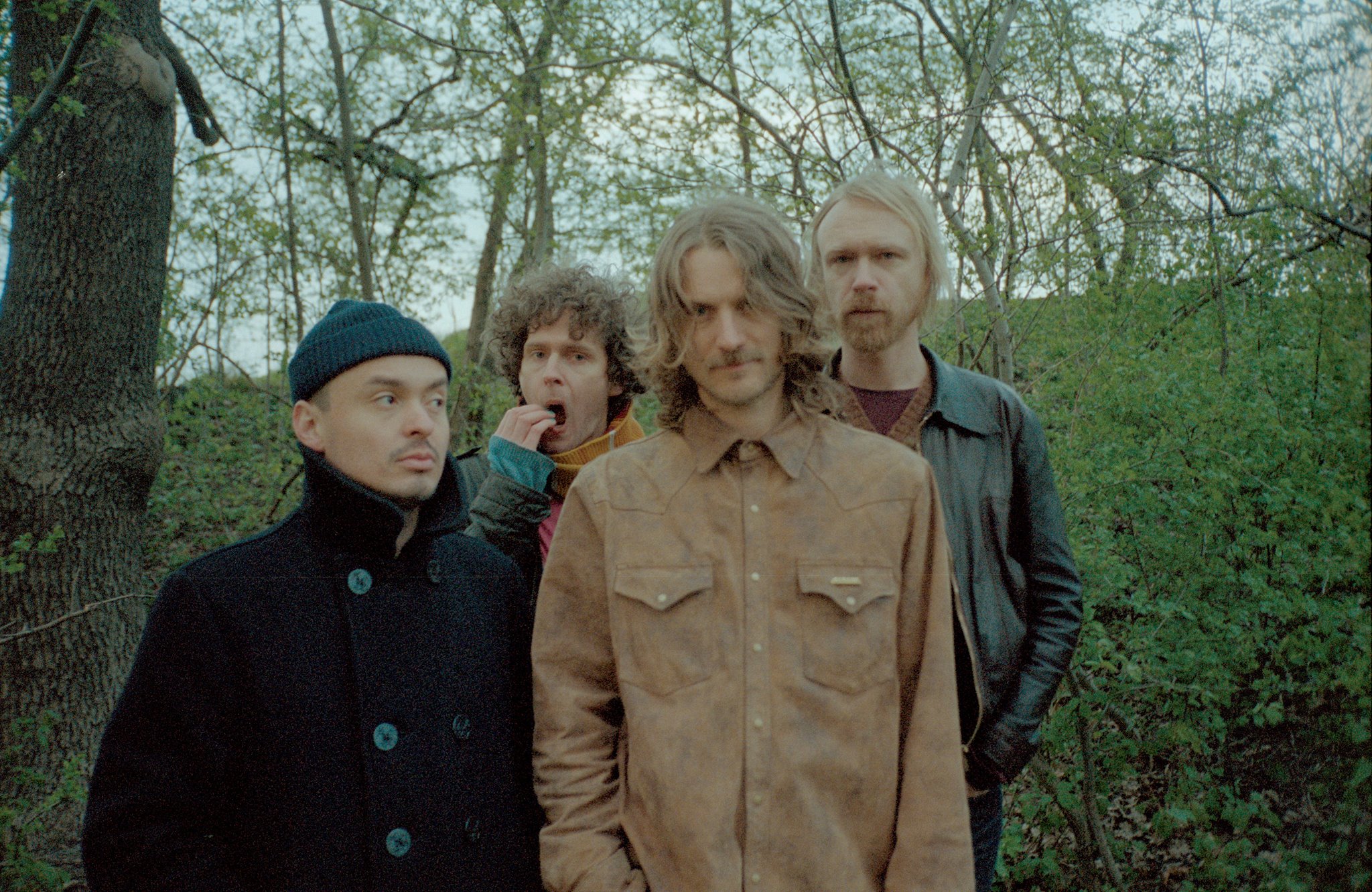 Dungen