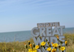 Into The Great Wide Open maakt zeventien nieuwe muzieknamen bekend