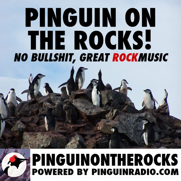 Pinguin On The Rocks