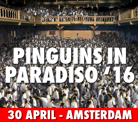 pinguins in paradiso