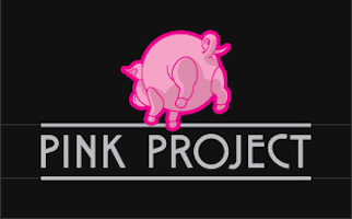 Pink Project presents Pink Floyd op 16 september in Ahoy