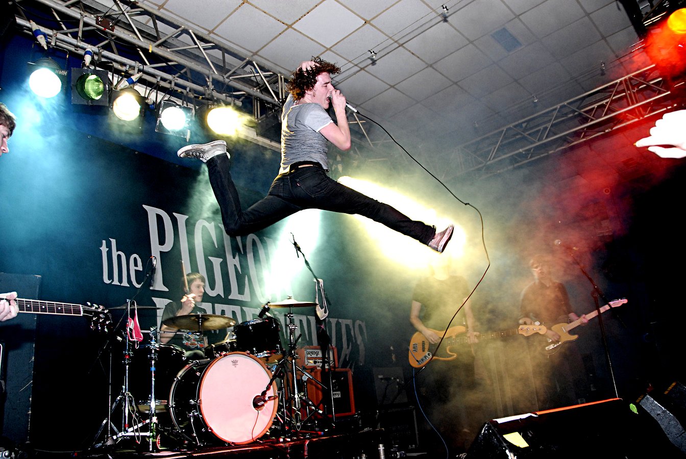 The Pigeon Detectives